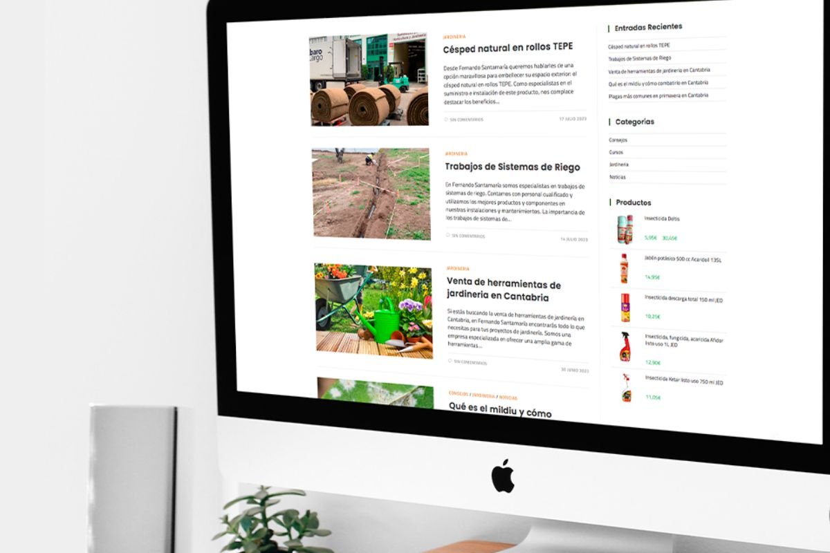 Diseño de páginas web en Cantabria